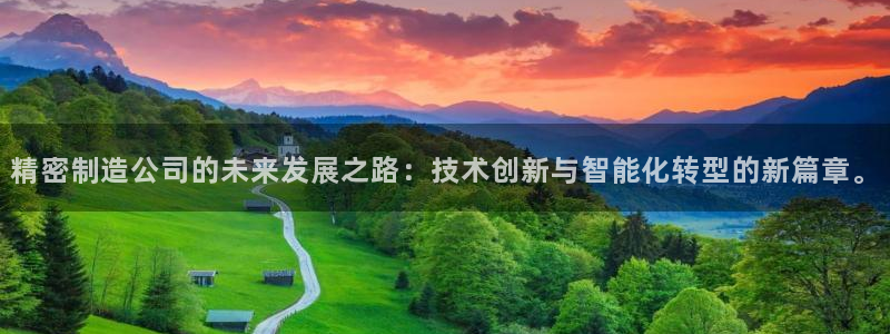 彩神大发cp：精密制造公司的未来发展之路：技术创新与智能化转型的新篇章。