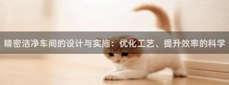 彩神8下载安卓版-彩神8(可提现)官网版1.0.0：精密洁净车间的设计与实施：优化工艺、提升效率的科学