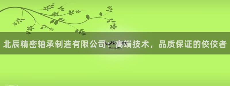 彩神8软件下载：北辰精密轴承制造有限公司：高端技术，品质保证的佼佼者