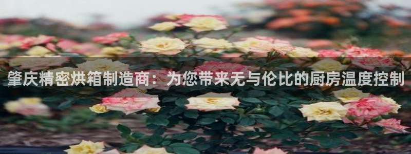 彩神iv是正规平台吗?：肇庆精密烘箱制造商：为您带来无与伦比的厨房温度控制