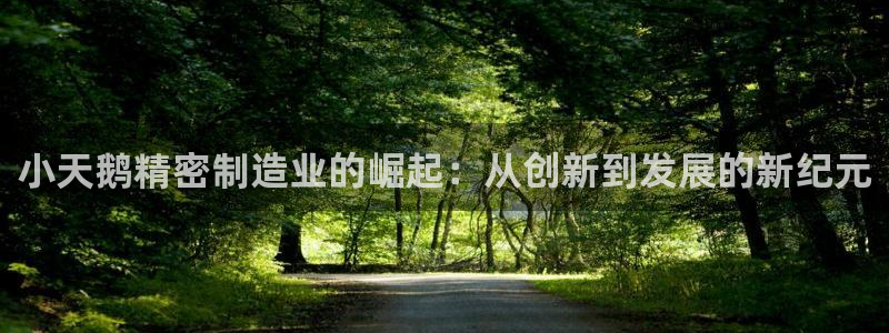 彩神平台是什么套路：小天鹅精密制造业的崛起：从创新到发展的新纪元