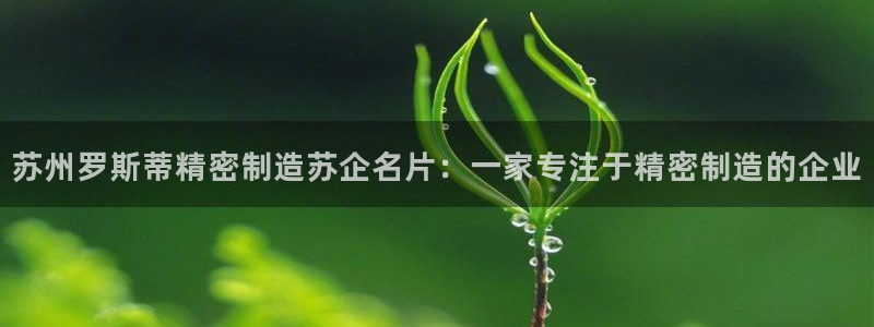 彩神v8是一个什么平台游戏：苏州罗斯蒂精密制造苏企名片：一家专注于精密制造的企业