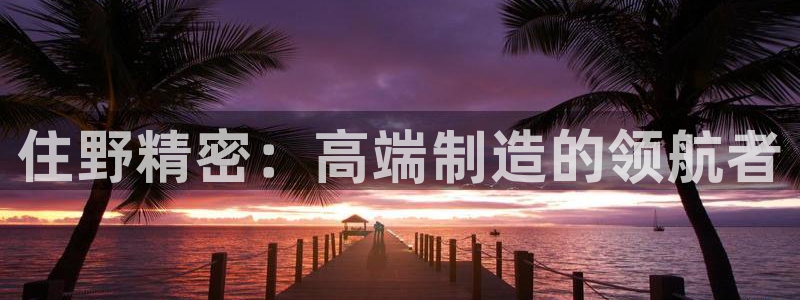 彩神app能挣到钱吗：住野精密：高端制造的领航者