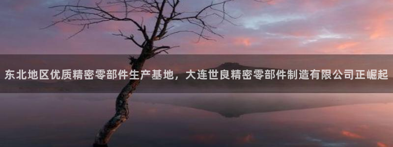 彩神vii官网大赢家：东北地区优质精密零部件生产基地，大连世良精密零部件制造有限公司正崛起
