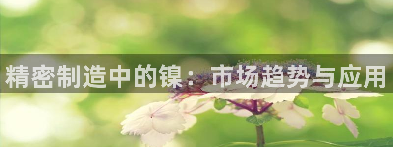 下载彩神乐发V：精密制造中的镍：市场趋势与应用