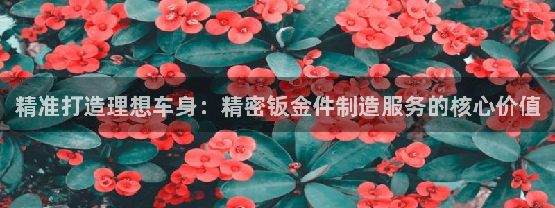 彩神网官网登录：精准打造理想车身：精密钣金件制造服务的核心价值