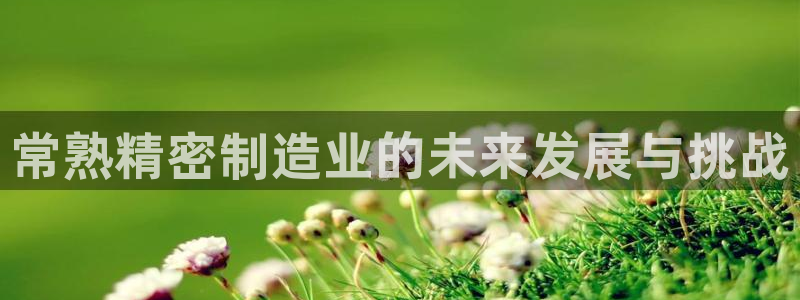 彩神v8是真的挣钱吗知乎：常熟精密制造业的未来发展与挑战