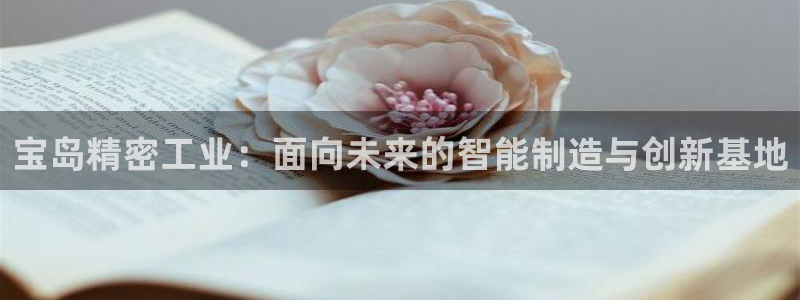 新版彩神v8登录不上去：宝岛精密工业：面向未来的智能制造与创新基地
