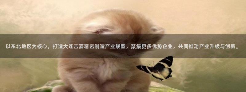 彩神8是正规平台吗知乎：以东北地区为核心，打造大连吉嘉精密制造产业联盟，聚集更多优势企业，共同推动产业升级与创