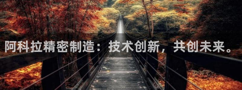 彩神旗下有哪些平台可以玩：阿科拉精密制造：技术创新，共创未来。