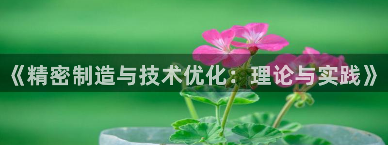 彩神大发官网：《精密制造与技术优化：理论与实践》