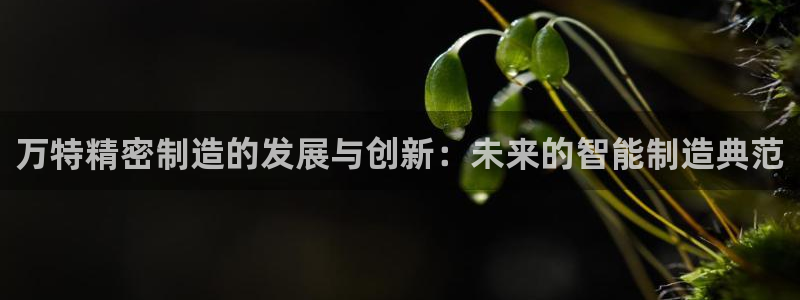 彩神v8下载app：
