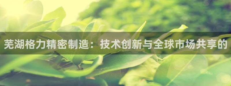 彩神vllⅰ购彩大厅：芜湖格力精密制造：技术创新与全球市场共享的