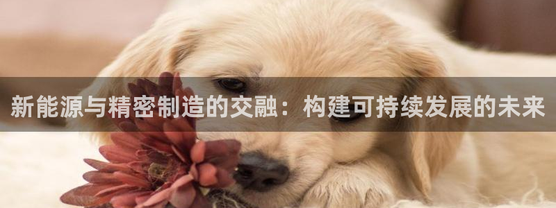 下载彩神乐发V1：新能源与精密制造的交融：构建可持续发展的未来