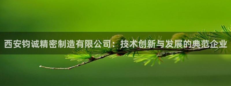 彩神是怎样一个平台：西安钧诚精密制造有限公司：技术创新与发展的典范企业