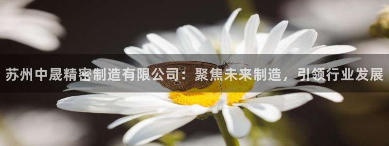 彩神平台可以破解吗：苏州中晟精密制造有限公司：聚焦未来制造，引领行业发展