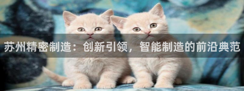 彩神是正规平台吗安全吗：苏州精密制造：创新引领，智能制造的前沿典范
