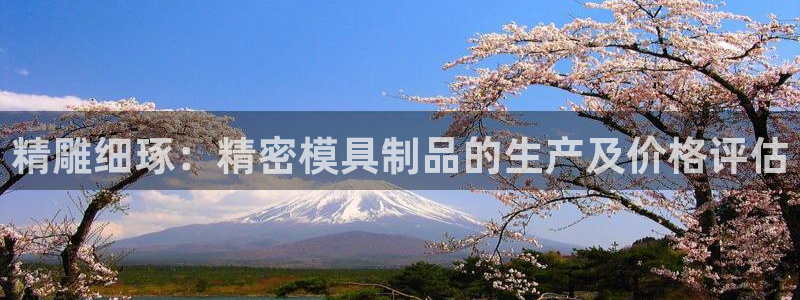 彩神v8是真的挣钱吗知乎：精雕细琢：精密模具制品的生产及价格评估