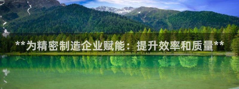 彩神8是正规平台吗是正品吗：**为精密制造企业赋能：提升效率和质量**