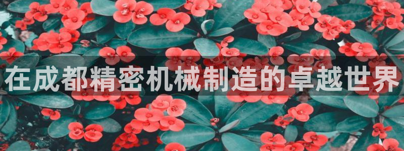 彩神v8平台正规吗知乎：在成都精密机械制造的卓越世界