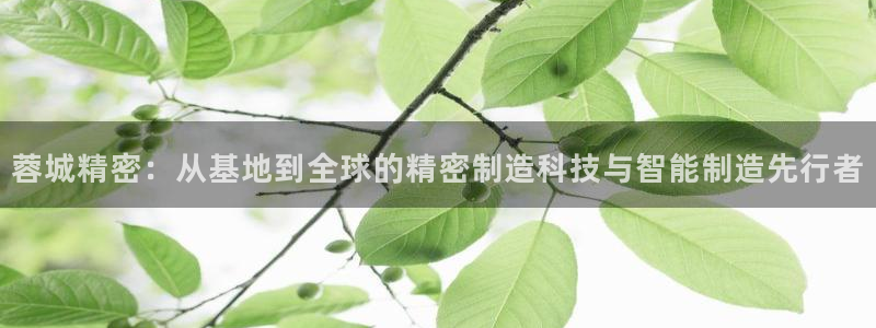 彩神8是正规平台吗知乎：蓉城精密：从基地到全球的精密制造科技与智能制造先行者