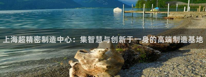 彩神大发官网：上海超精密制造中心：集智慧与创新于一身的高端制造基地