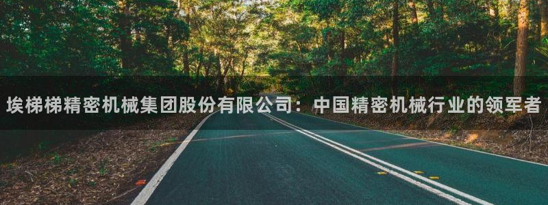 彩神vll首页：埃梯梯精密机械集团股份有限公司：中国精密机械行业的领军者