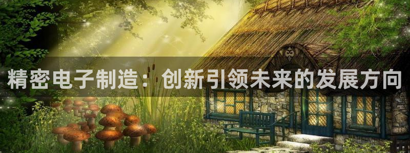 所有彩神购买首页中心：精密电子制造：创新引领未来的发展方向