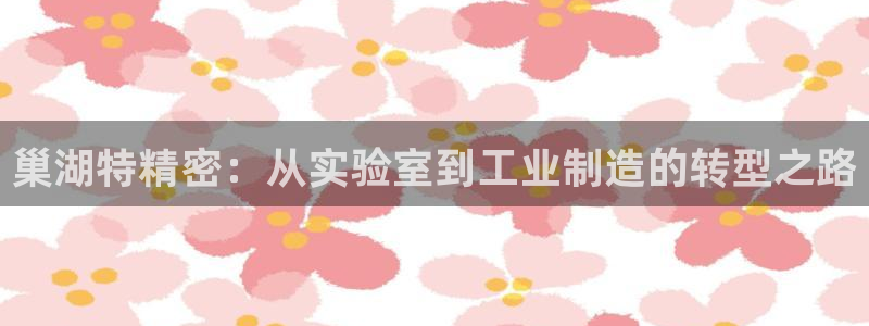 彩神的邀请码是多少：巢湖特精密：从实验室到工业制造的转型之路