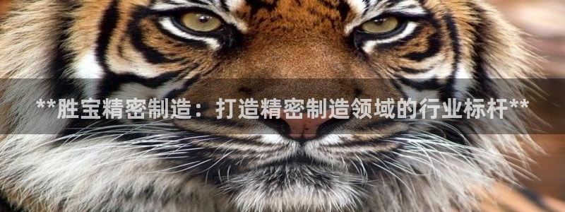 彩神 好 平台：**胜宝精密制造：打造精密制造领域的行业标杆**