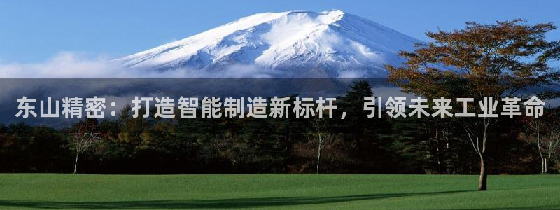 彩神团队是真的吗：东山精密：打造智能制造新标杆，引领未来工业革命