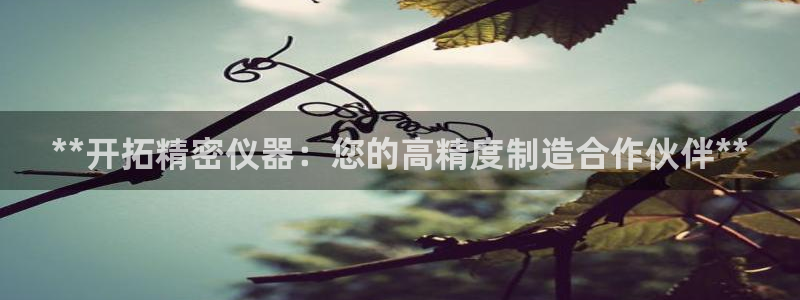 彩神8购彩-购彩大厅：**开拓精密仪器：您的高精度制造合作伙伴**