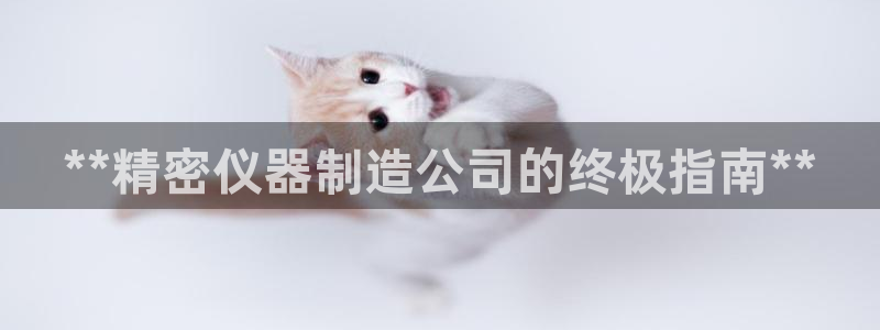 彩神通关注码金码对应码：**精密仪器制造公司的终极指南**