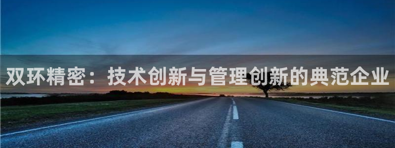 彩神输的钱是赌博还是诈骗：双环精密：技术创新与管理创新的典范企业