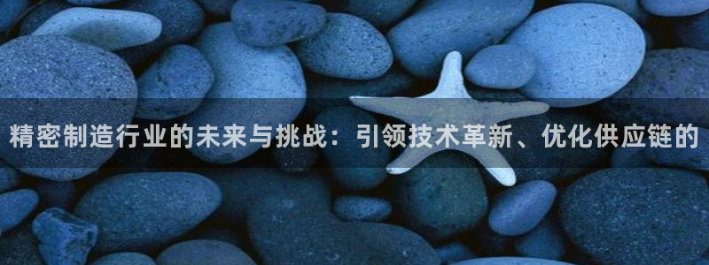 彩神8彩平台客服：精密制造行业的未来与挑战：引领技术革新、优化供应链的