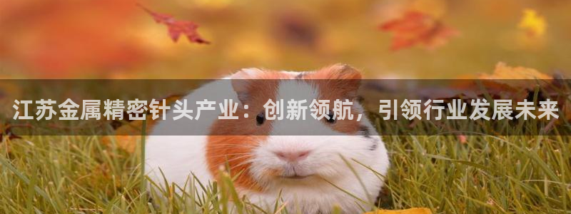 彩神VII购彩中心：江苏金属精密针头产业：创新领航，引领行业发展未来