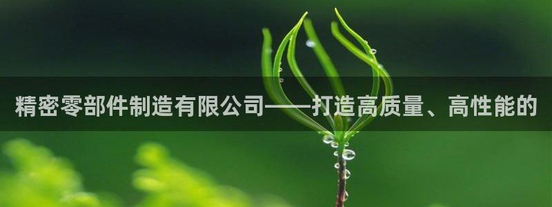 彩神v|：精密零部件制造有限公司——打造高质量、高性能的