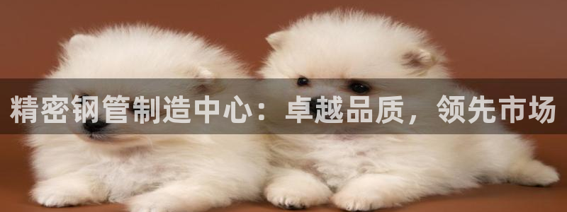 彩神8app官方下载：精密钢管制造中心：卓越品质，领先市场