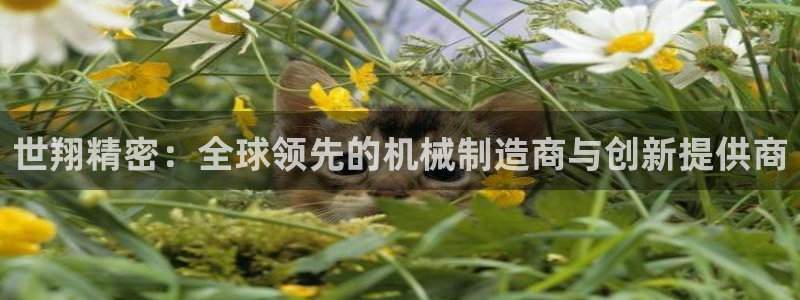 彩神v8官网版：世翔精密：全球领先的机械制造商与创新提供商