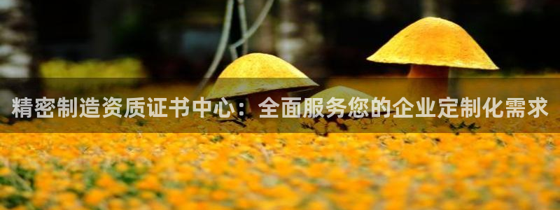 彩神v8app：精密制造资质证书中心：全面服务您的企业定制化需求