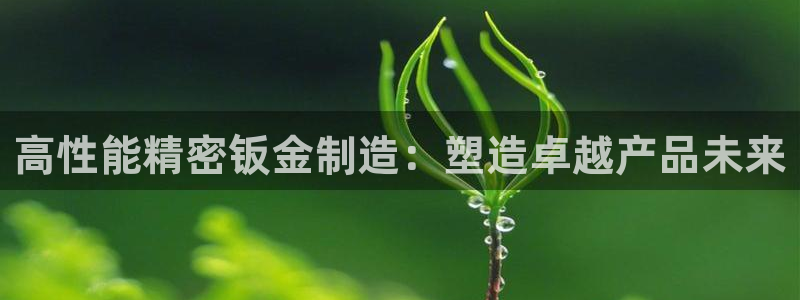彩神app能挣到钱吗：高性能精密钣金制造：塑造卓越产品未来