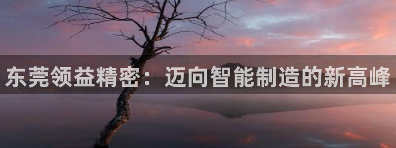 彩神v8下载网址：东莞领益精密：迈向智能制造的新高峰