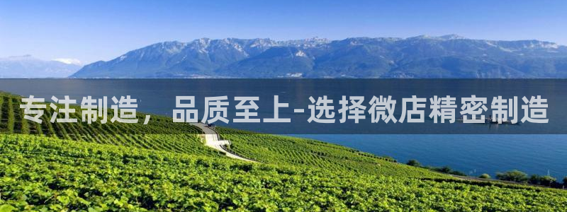 下载彩神通关注金码：专注制造，品质至上-选择微店精密制造