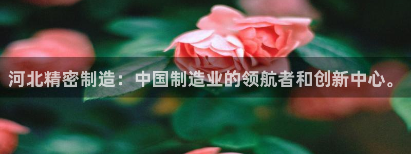 彩神8官网500：河北精密制造：中国制造业的领航者和创新中心。