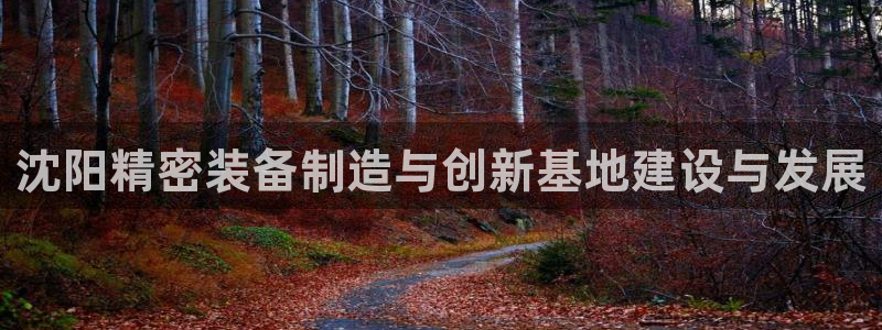下载彩神乐发V：沈阳精密装备制造与创新基地建设与发展