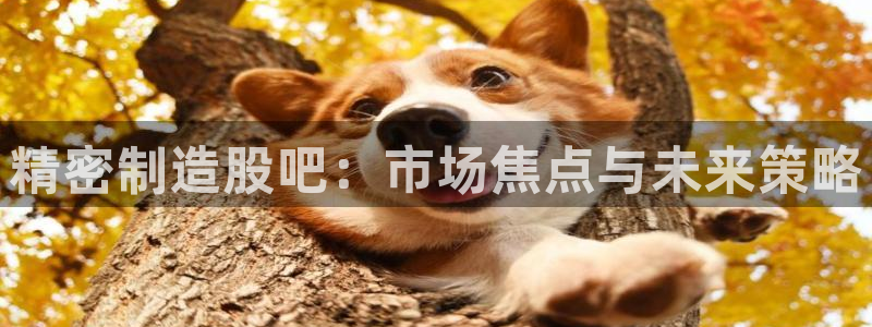 彩神是什么平台的游戏：精密制造股吧：市场焦点与未来策略