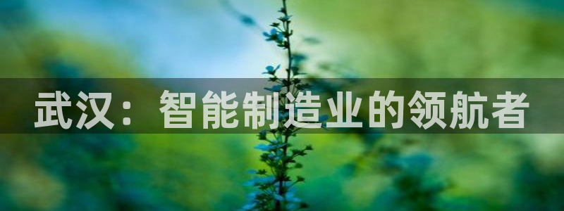 彩神vip购彩：武汉：智能制造业的领航者