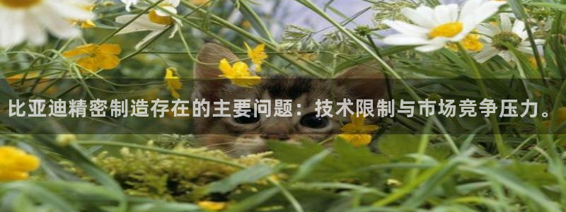 彩神可以提现吗：比亚迪精密制造存在的主要问题：技术限制与市场竞争压力。