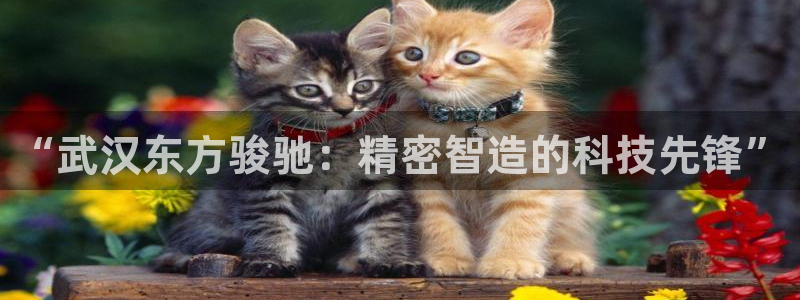 彩神VII购彩中心：“武汉东方骏驰：精密智造的科技先锋”