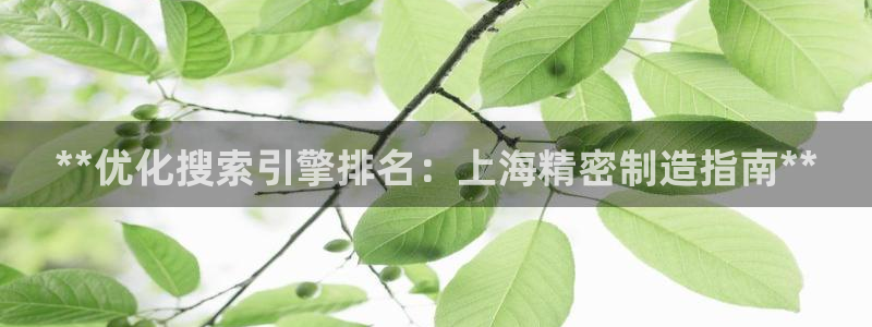 彩神8购彩-购彩大厅：**优化搜索引擎排名：上海精密制造指南**